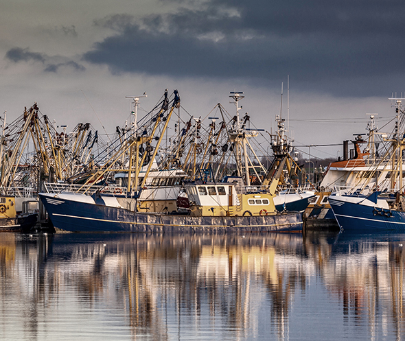 Pesca professionale